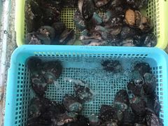 -霞涌市场海鲜摆卖区