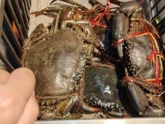 -东海岸人工湖美食村