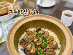 -红星光发煲仔饭(文海店)