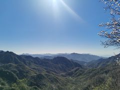 -大岭沟猕猴桃谷风景区