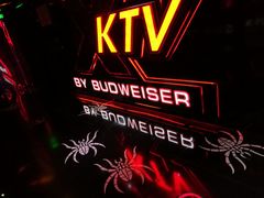 -百威KTV(恒福路店)