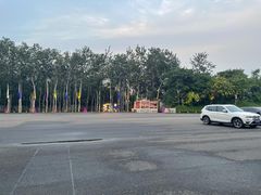 -枫花园汽车电影院(朝阳公园店)
