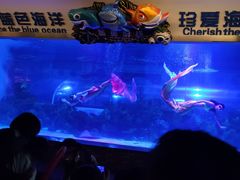 -成都浩海立方海洋公园