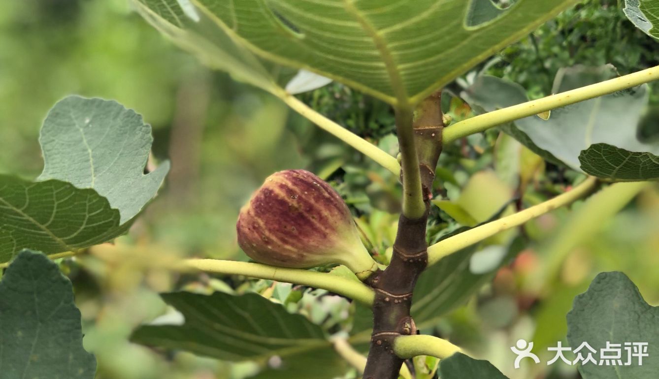 台风🌀来临前的宁静~坐在院子里发发呆