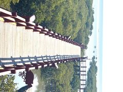 -北海金海湾红树林生态旅游区