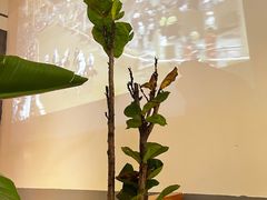 -新贝乐意大利餐厅(苏州中心店)