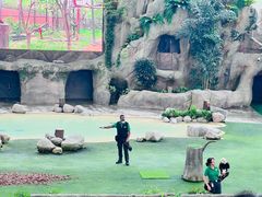 -新加坡飞禽公园
