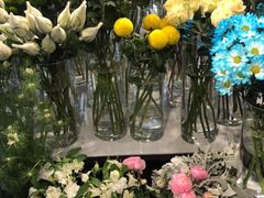 -花未央花店·WEYOUNG