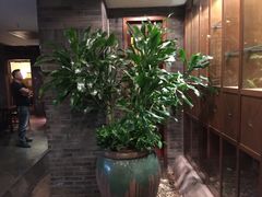 -青藤茶馆(南山路店)