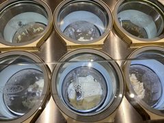 -Dip in Gelato(富民路店)
