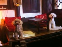 iphone_upload_pic-留荫庐旅馆