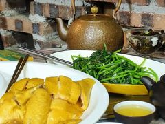 -食德喜·阳山鸡王食研基地