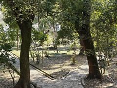 -武汉大学-樱园