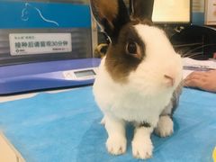 -美迦爱-牙专科·兔科·骨科诊疗中心(北苑店)