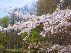 -共青国家森林公园-售票处