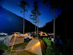 -武陵山森林公园