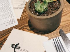 -Apollo·西班牙小酒馆(安福路店)