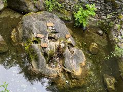 -康定跑马山风景区