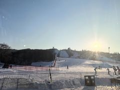 -东北亚滑雪场
