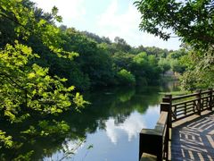 -白马涧龙池景区