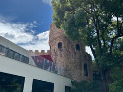 -J Create城市露营咖啡·简餐·宠物(上海动物园店)