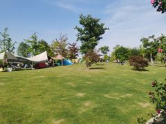 -广富林郊野公园