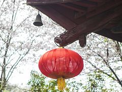 -杭州张苍水先生祠