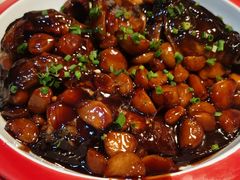 红烧长江鮰鱼-吴记小园楼(南园路店)