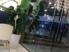 -CoCo都可(中联广场店)