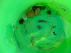 -青岛银沙滩