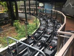 -圣淘沙天际线斜坡滑车