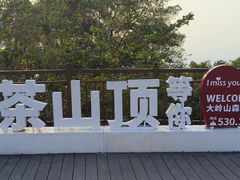 -东莞市大岭山森林公园