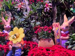-正佳雨林生态植物园