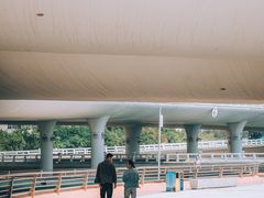 -演武大桥观景平台