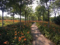 -天津东丽湖风景区