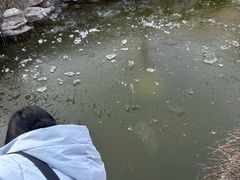 -淄博聊斋城景区