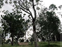 -牛岗山公园