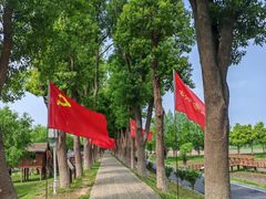 -洪湖生态旅游区