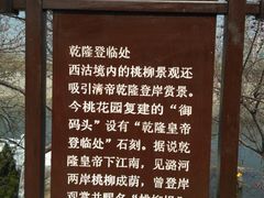 -桃花堤公园
