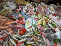 -吴记富苑(朝阳店)