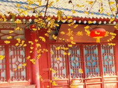 -西安大兴善寺