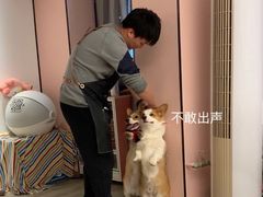 -浣熊柯尔鸭土拨鼠·电玩咖