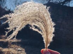 -龙洞风景区-藏龙涧