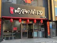 -向阳羊汤(大同总店)