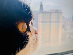 -Catmate·猫肥家润(金润铂宫店)