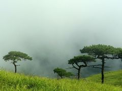 -萍乡武功山风景名胜区
