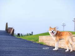 -天府广场