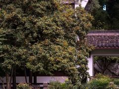 -宋宴(虎跑店)