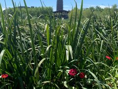 -永定河休闲森林公园