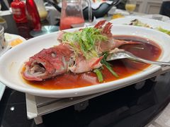 -新南华大酒店(长寿店)